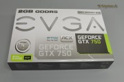 EVGA GeForce GTX 750 FTW ACX Cooler